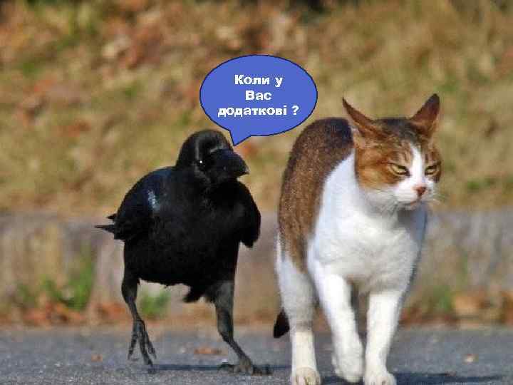 Коли у Вас додаткові ? 
