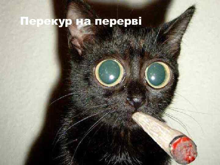 Перекур на перерві 