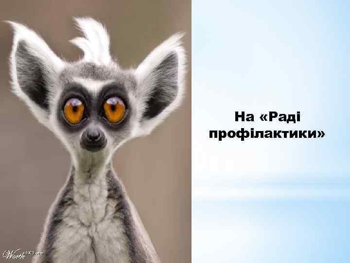 На «Раді профілактики» 