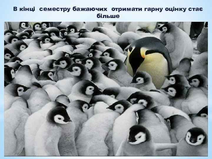 В кінці семестру бажаючих отримати гарну оцінку стає більше 
