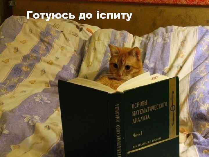 Готуюсь до іспиту 