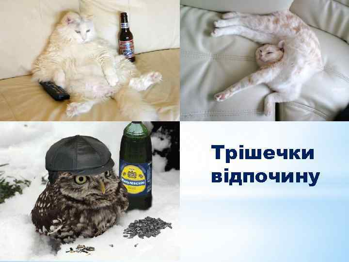 Трішечки відпочину 