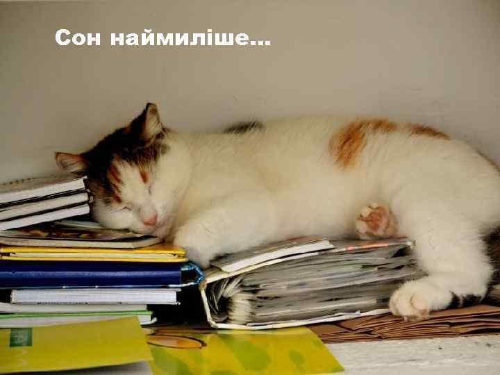 Сон наймиліше… 