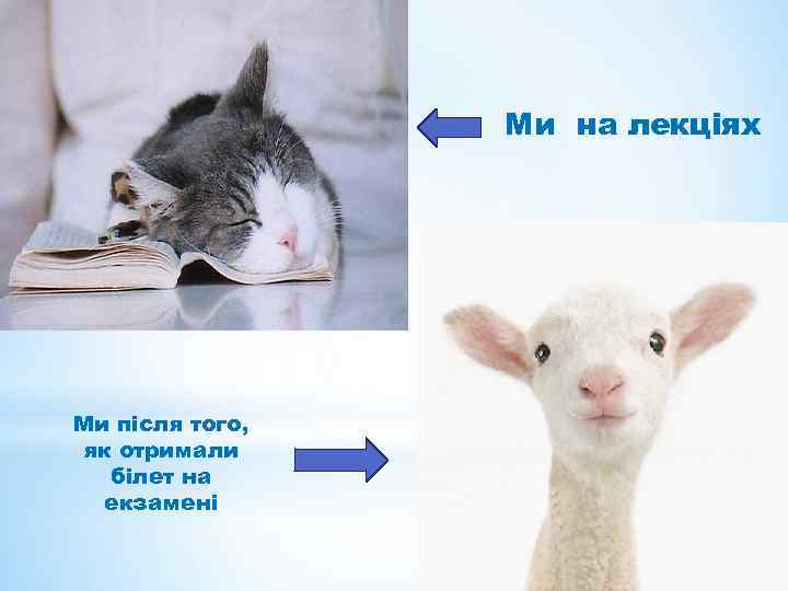 Ми на лекціях Ми після того, як отримали білет на екзамені 