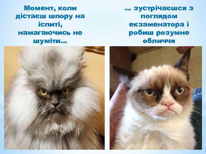 Момент, коли дістаєш шпору на іспиті, намагаючись не шуміти… … зустрічаєшся з поглядом екзаменатора