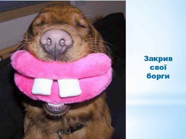 Закрив свої борги 