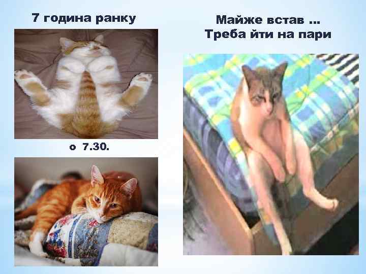 7 година ранку о 7. 30. Майже встав … Треба йти на пари 