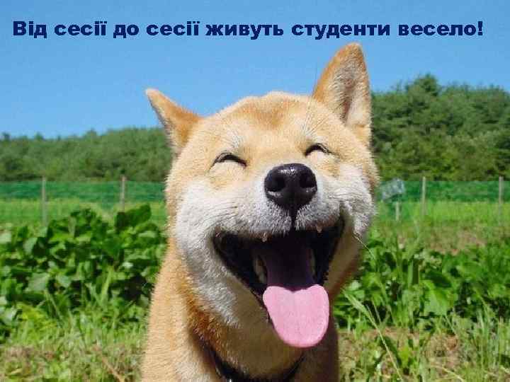 Від сесії до сесії живуть студенти весело! 