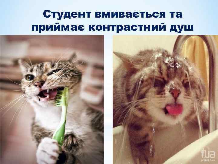 Студент вмивається та приймає контрастний душ 