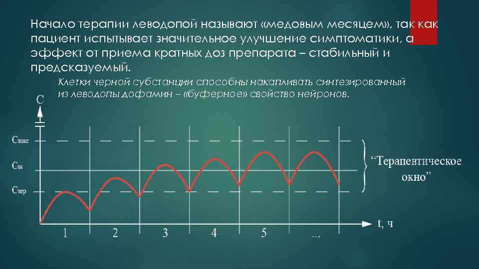 Начало терапии леводопой называют «медовым месяцем» , так как пациент испытывает значительное улучшение симптоматики,