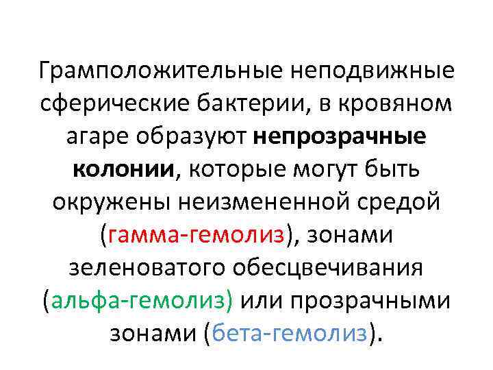 Грамположительные неподвижные сферические бактерии, в кровяном агаре образуют непрозрачные колонии, которые могут быть окружены