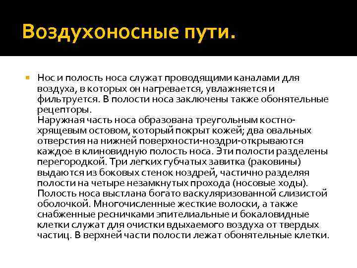 Воздухоносные пути. Нос и полость носа служат проводящими каналами для воздуха, в которых он