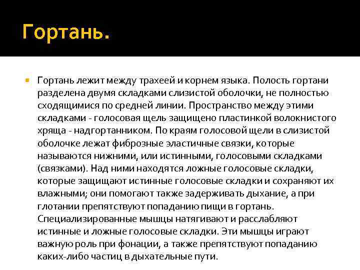 Гортань лежит между трахеей и корнем языка. Полость гортани разделена двумя складками слизистой оболочки,