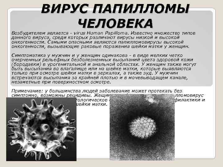 ВИРУС ПАПИЛЛОМЫ ЧЕЛОВЕКА Возбудителем является - virus Human Papilloma. Известно множество типов данного вируса,