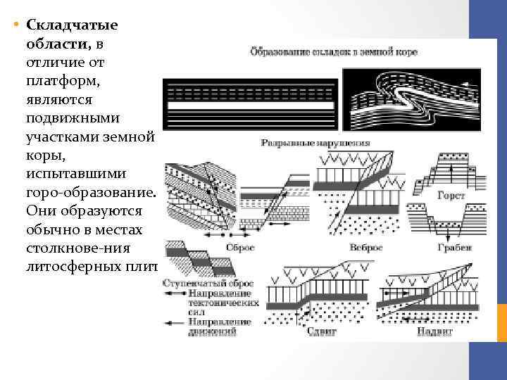  • Складчатые области, в отличие от платформ, являются подвижными участками земной коры, испытавшими