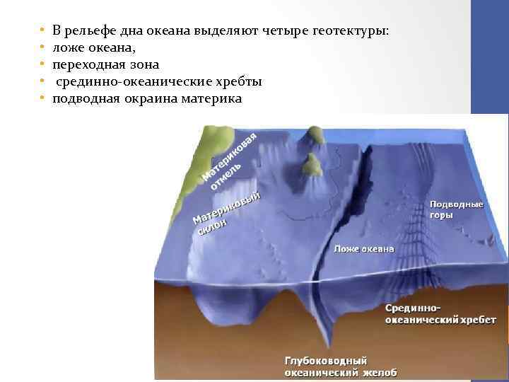  • • • В рельефе дна океана выделяют четыре геотектуры: ложе океана, переходная