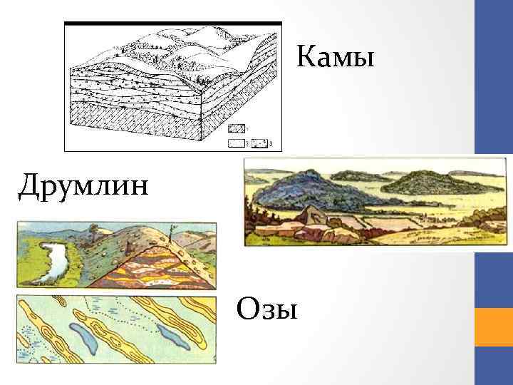 Озы это. Друмлины форма рельефа в России. Озы Камы друмлины. Друмлины это в геологии. Друмлины это в географии.