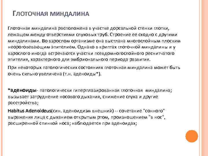 ГЛОТОЧНАЯ МИНДАЛИНА Глоточная миндалина расположена в участке дорсальной стенки глотки, лежащем между отверстиями слуховых