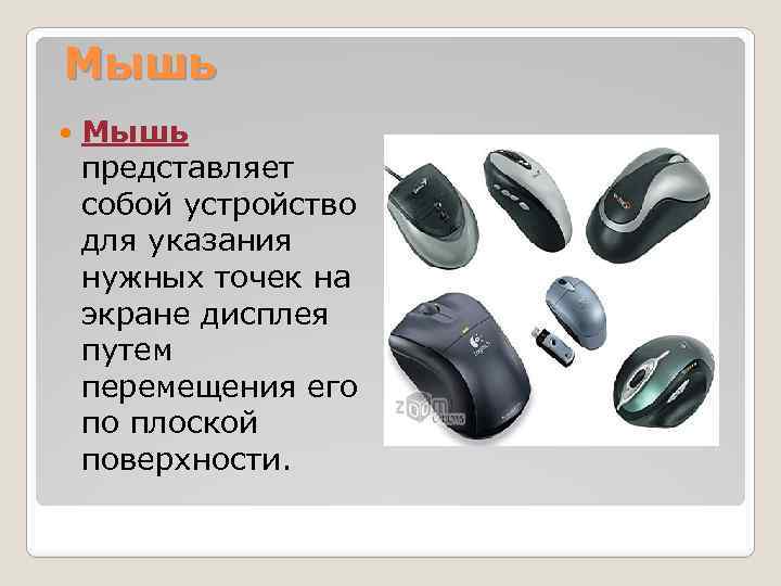 Мышь представляет собой устройство для указания нужных точек на экране дисплея путем перемещения его