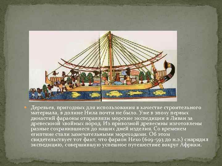  Деревьев, пригодных для использования в качестве строительного материала, в долине Нила почти не