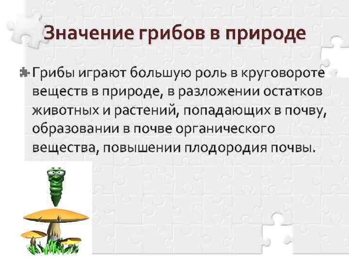 Грибы играют большую роль в круговороте веществ в природе, в разложении остатков животных и