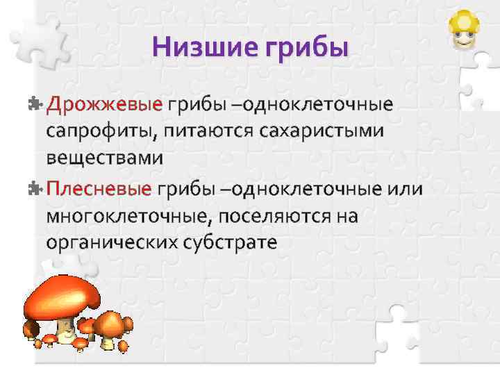 Дрожжевые грибы –одноклеточные сапрофиты, питаются сахаристыми веществами Плесневые грибы –одноклеточные или многоклеточные, поселяются на