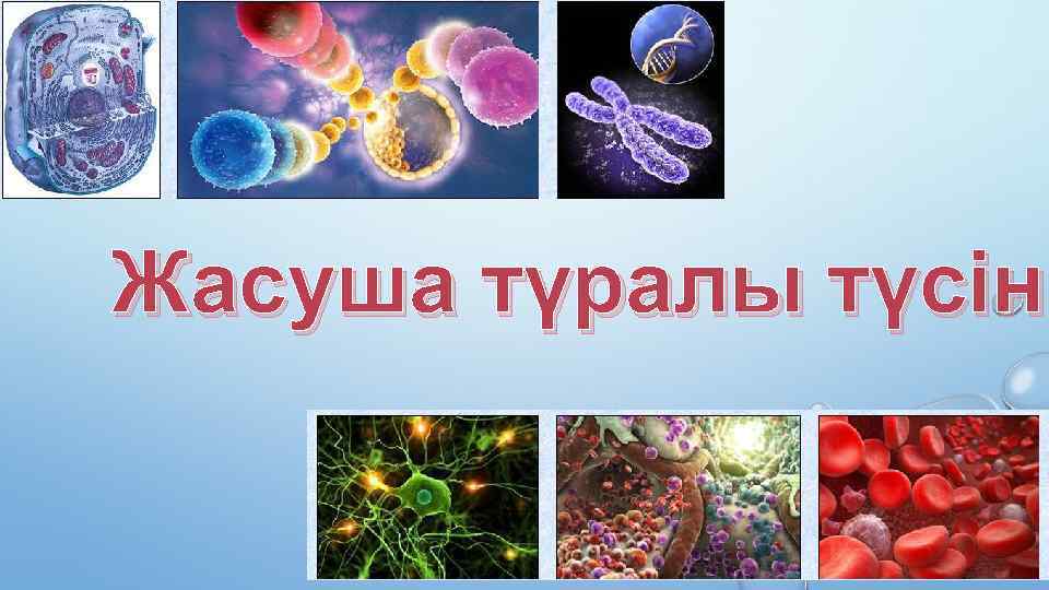 Жасуша түралы түсіні 