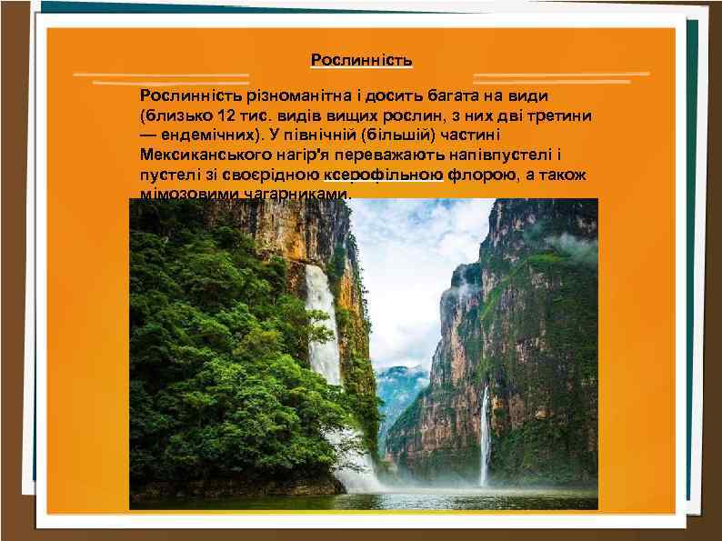Рослинність різноманітна і досить багата на види (близько 12 тис. видів вищих рослин, з
