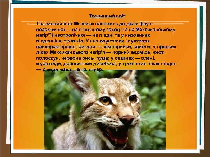 Тваринний світ Мексики належить до двох фаун: неарктичної — на північному заході та на