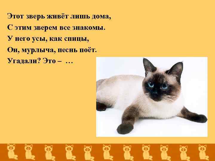 Этот зверь живёт лишь дома, С этим зверем все знакомы. У него усы, как