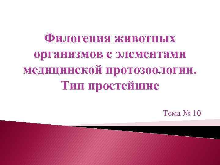 Филогения животных организмов с элементами медицинской протозоологии. Тип простейшие Тема № 10 