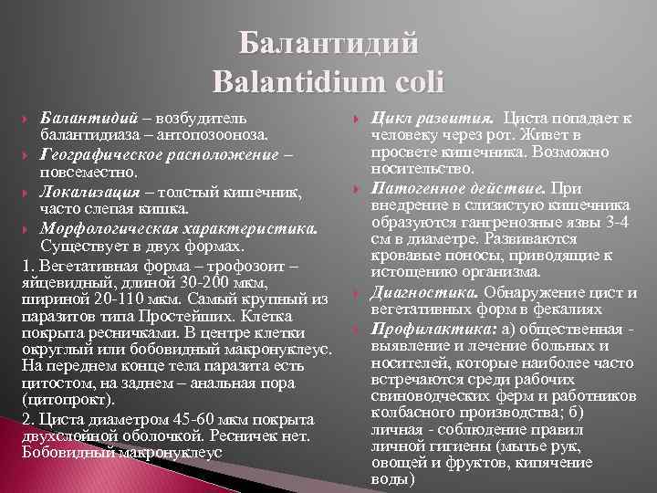 Балантидий Balantidium coli Балантидий – возбудитель балантидиаза – антопозооноза. Географическое расположение – повсеместно. Локализация