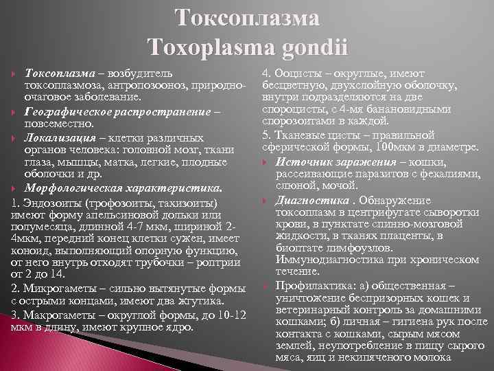 Токсоплазма Toxoplasma gondii Токсоплазма – возбудитель токсоплазмоза, антропозооноз, природноочаговое заболевание. Географическое распространение – повсеместно.