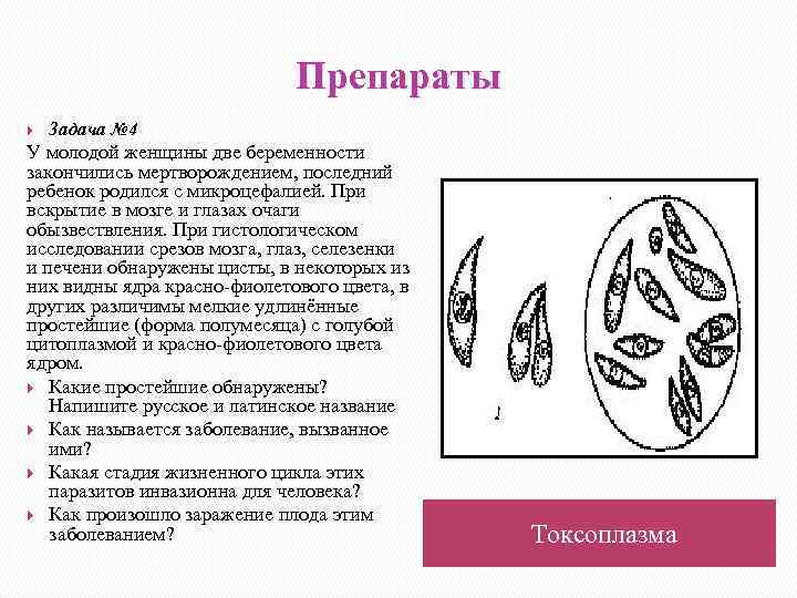 Препараты Задача № 4 У молодой женщины две беременности закончились мертворождением, последний ребенок родился