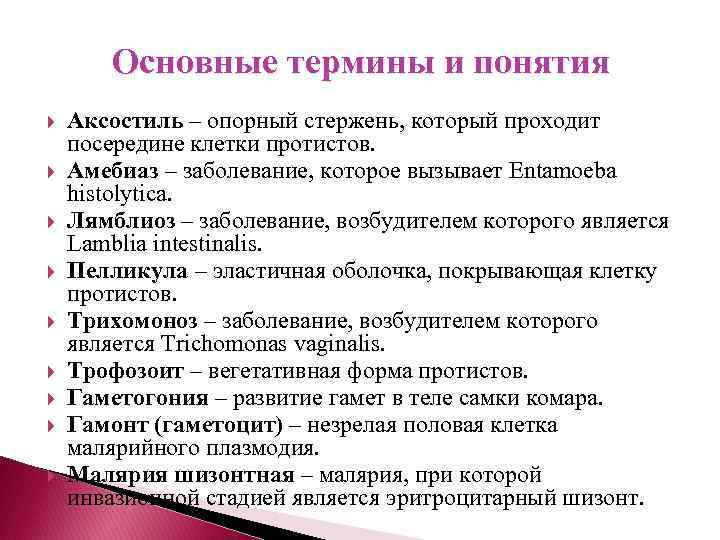 Основные термины и понятия Аксостиль – опорный стержень, который проходит посередине клетки протистов. Амебиаз