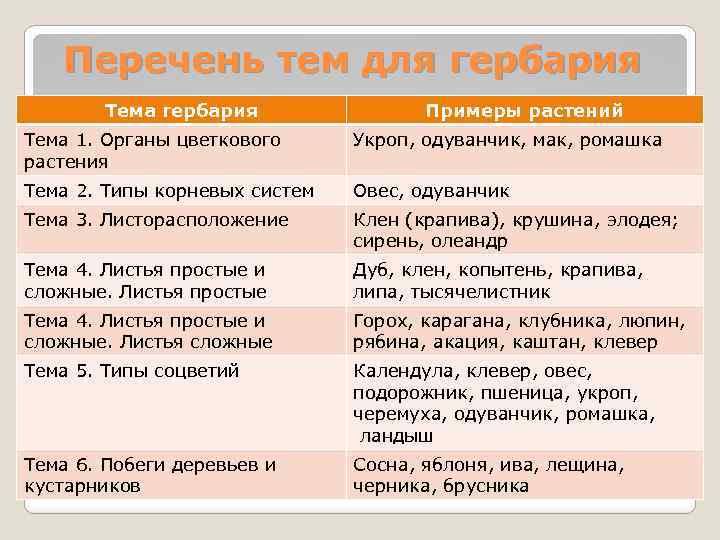 Перечень тем для гербария Тема гербария Примеры растений Тема 1. Органы цветкового растения Укроп,