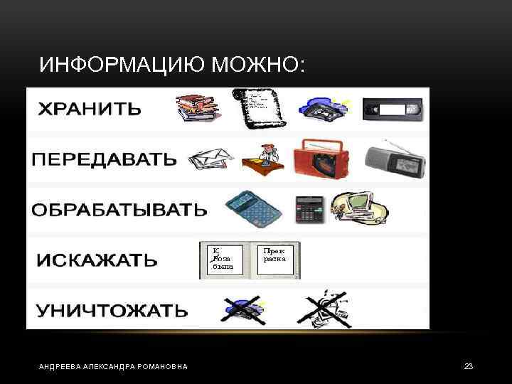 ИНФОРМАЦИЮ МОЖНО: АНДРЕЕВА АЛЕКСАНДРА РОМАНОВНА 23 