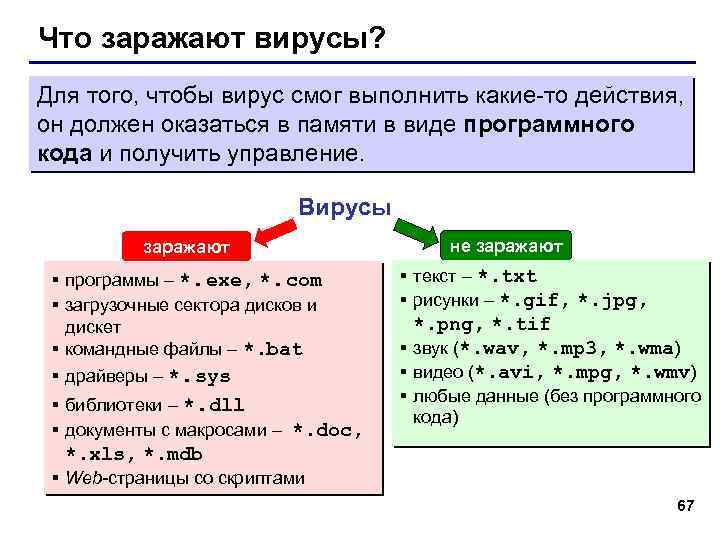 Что заражают вирусы? Для того, чтобы вирус смог выполнить какие-то действия, он должен оказаться