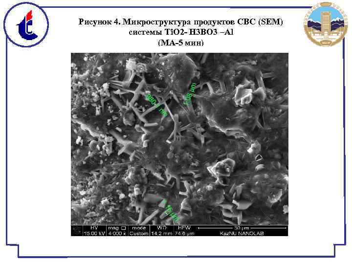 Рисунок 4. Микроструктура продуктов СВС (SEM) системы Ti. O 2 - H 3 BO