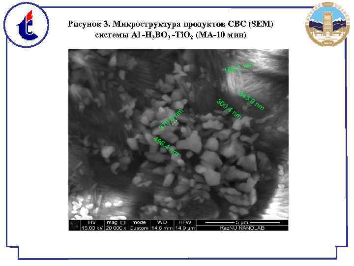 Рисунок 3. Микроструктура продуктов СВС (SEM) системы Al -H 3 BO 3 -Ti. O