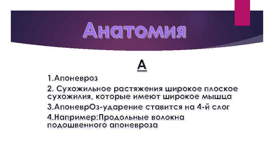 Анатомия А 1. Апоневроз 2. Сухожильное растяжения широкое плоское сухожилия, которые имеют широкое мышца