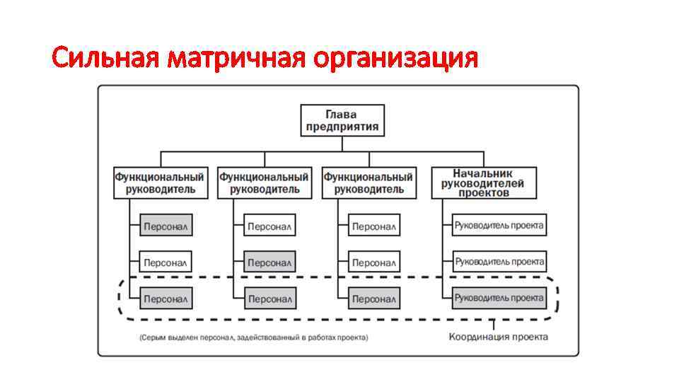 Матричная схема департаментизации