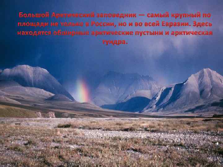 Большой Арктический заповедник — самый крупный по площади не только в России, но и