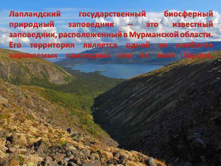 Лапландский государственный биосферный природный заповедник – это известный заповедник, расположенный в Мурманской области. Его