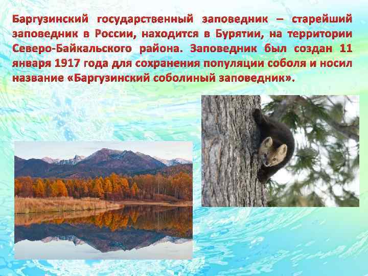 Баргузинский государственный заповедник – старейший заповедник в России, находится в Бурятии, на территории Северо-Байкальского