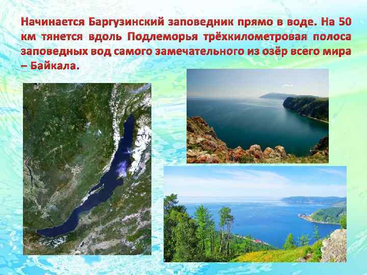 Начинается Баргузинский заповедник прямо в воде. На 50 км тянется вдоль Подлеморья трёхкилометровая полоса