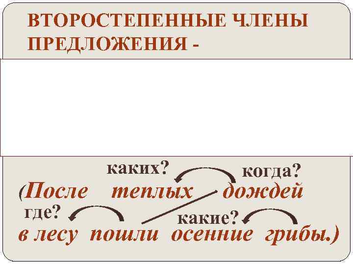 ВТОРОСТЕПЕННЫЕ ЧЛЕНЫ ПРЕДЛОЖЕНИЯ - поясняют подлежащее, сказуемое или другой второстепенный член. (После где? каких?