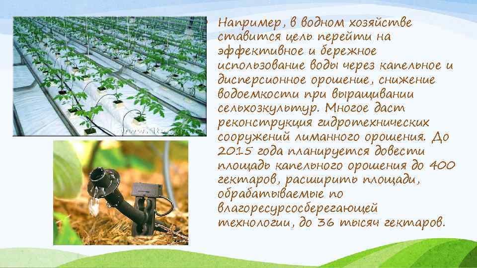  • Например, в водном хозяйстве ставится цель перейти на эффективное и бережное использование