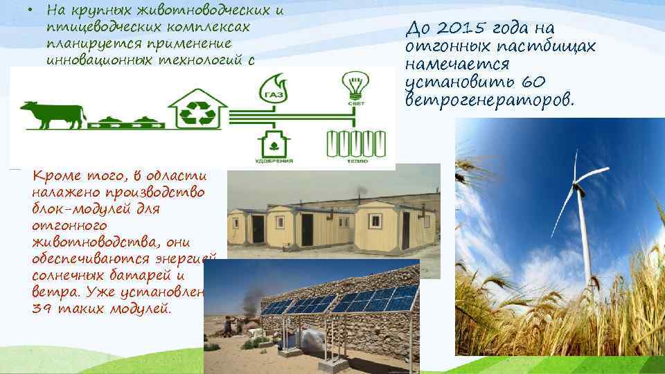 • На крупных животноводческих и птицеводческих комплексах планируется применение инновационных технологий с установкой