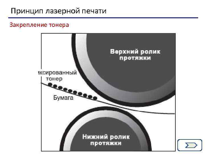 Принцип лазерной печати Закрепление тонера 12 